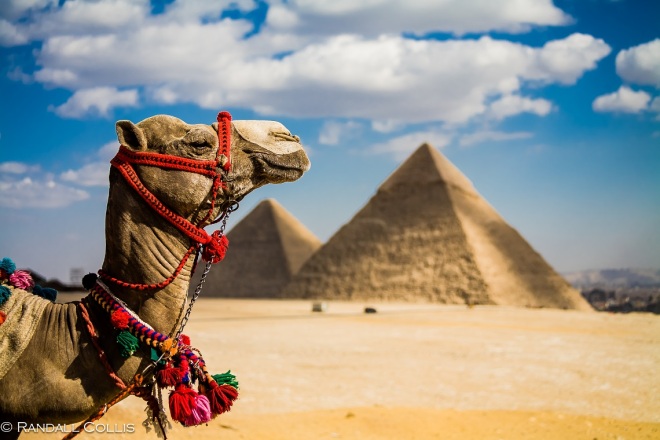 Egypt Tour operator